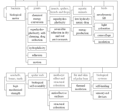 Table 1.4 An overview of various systems and objects from nature and their selected functions being analyzed for biomimetic materials – modified from59