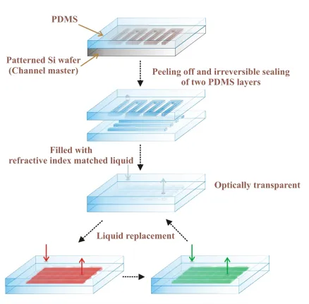 Figure 2.1  Schematic flowchart of the fabrication and operation principle of the PDMS microfluidic material network that can change color on demand