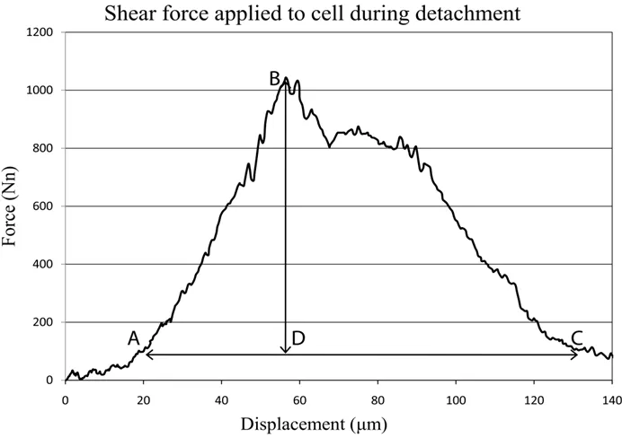 Figure 3-4. Example of force–displacement curve obtained from detachment of a single  cell adhered to coating surface 