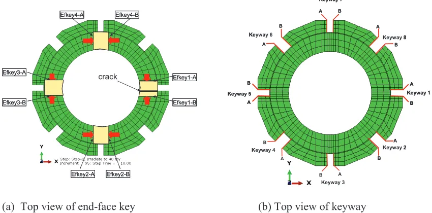 Figure 6. Notations and labels used in the integrity analysis of the 3D array model. 