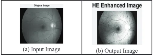 Fig. 1: HE Result