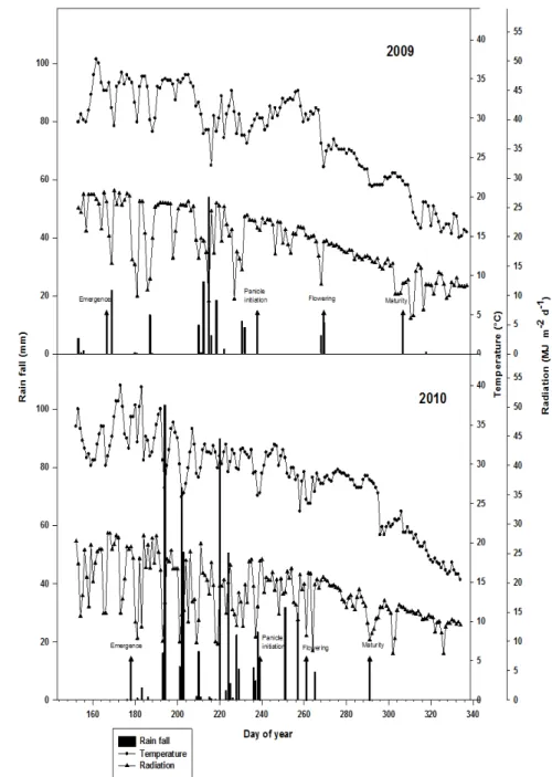 Fig. 2.1. The daily course of rainfall, mean temperature, and radiation in the 2009 (upper) and  2010 seasons (lower)