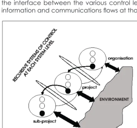 Figure 5: Graphic depiction of the principles of the Viable Systems Model for the control of complex systems 
