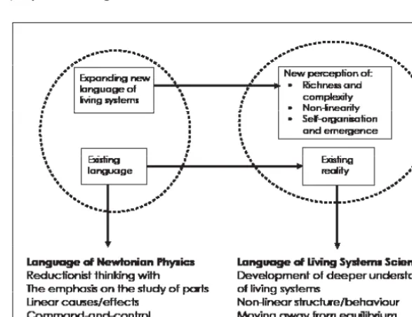 Figure 1: The impact of new language introduced by a living systems approachSource: Dervitsiotis  2005: 941
