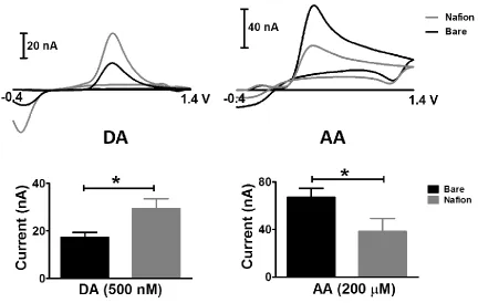 Figure 2.4.  The presense of a Nafion membrane significantly affects sensitivity to DA and AA