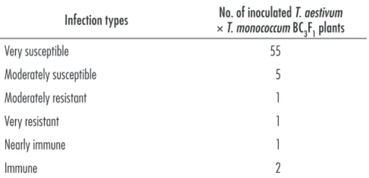 Table 1. Response to leaf rust in 65 T. aestivum × T. monococcum  BC 3 F 1  plants at the seedling stage.