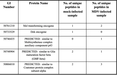 Table 2.4.  Gallus galluspathogenesis. proteins previously identified to be important in MDV a  