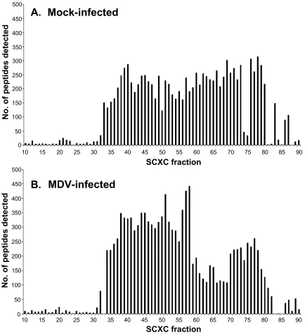 Figure 2.4.  SCXC peptide distribution for the mock-infected and MDV-infected samples
