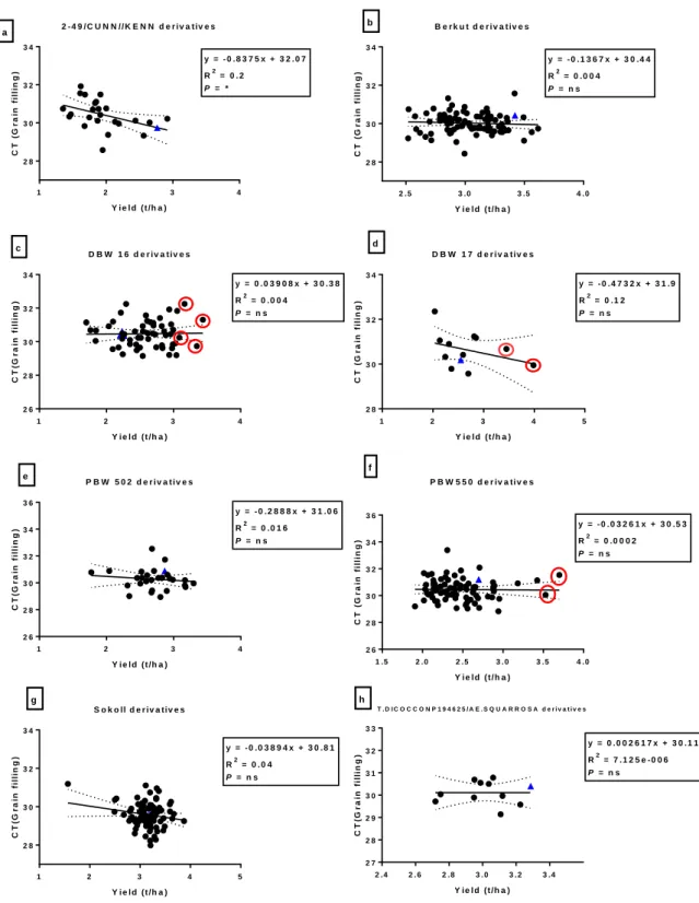 Fig.  3.2:  Correlation  between  canopy  temperature  (°C)  and  grain  yield  (t/ha)  among  bread wheat parents (blue triangles) and their progeny in E1 (irrigated)