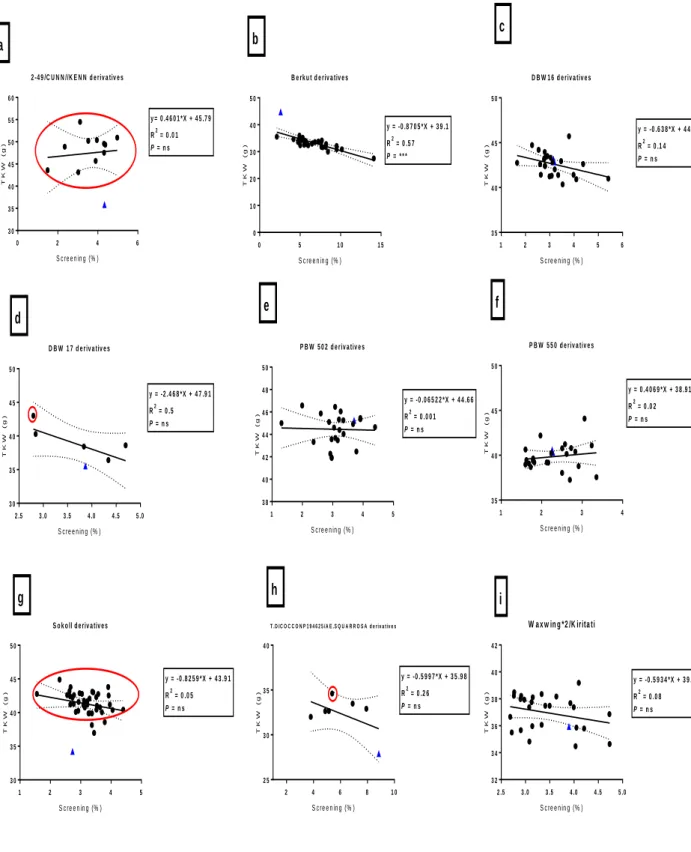 Fig.  3.8:  Correlations  between  TKW  and  screenings  (%)  among  bread  wheat  parents  (blue  triangles)  and  their  progeny  in  E4