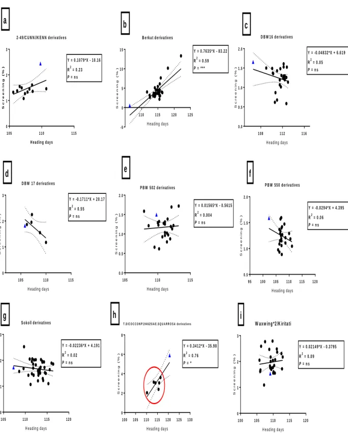 Fig.  3.9:  Correlations  between  screenings  (%)  and  heading  days  among  bread  wheat  parents (blue triangles) and their progeny in E5