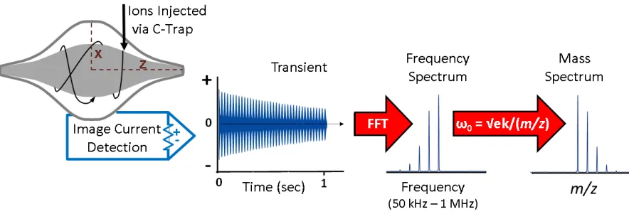 Figure 1.11 Fourier Transform Mass Spectrometry - Mass determination of charged species by Orbitrap mass spectrometer