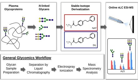 Figure 1.12 General Glycomics Workflow for relative quantification of 