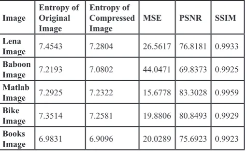 Fig. 16: Baboon Input Image (a) Gray Scale Image (b) Logical Matrix Image (c) Compressed Image