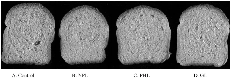 Figure 3.16. C-Cell raw images of macro XMT samples with varying lipid treatments  