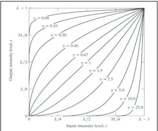 Fig. 6: Original Image and it Transformed Image [4]