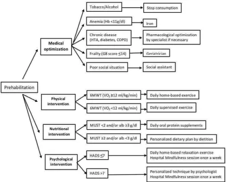 Table 4 Physiological intervention according to the HADS scale in the prehabilitation program