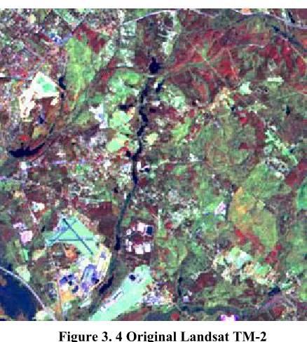 Figure 3. 4 Original Landsat TM-2 