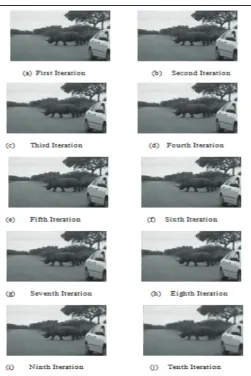 Fig. 6: Results of Interpolation and Proposed Algorithms