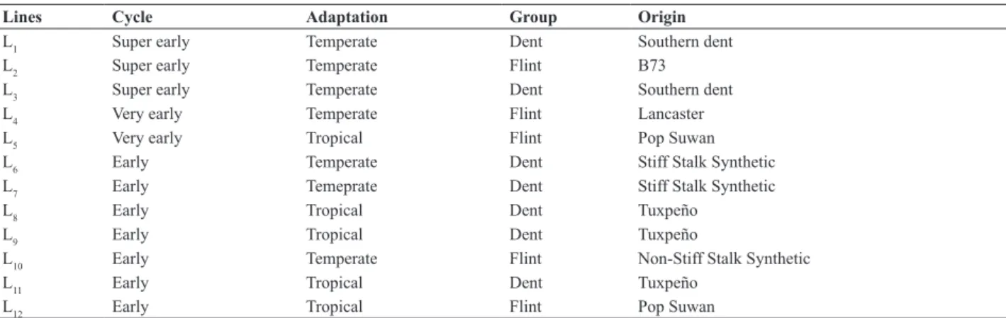 Table 1. Characteristics of 12 maize inbred lines, used in the maize breeding program of the State University of Maringá and Syngenta Seeds Ltda 