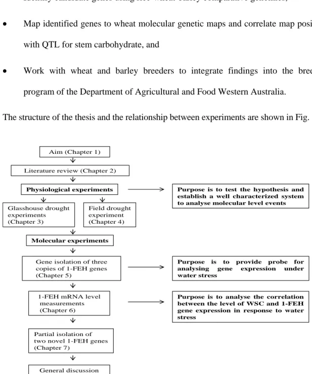 Fig. 1.1 The structure of the thesis and the relationship between experiments. 