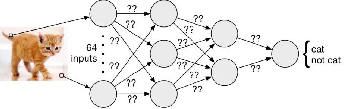 Figure 3. An image of a cat is used as an input to 64 nodes, called neurons. These neurons feed into several layers of neurons (in the case of deep learning) until an output neuron is reached for a final classification of cat or not cat