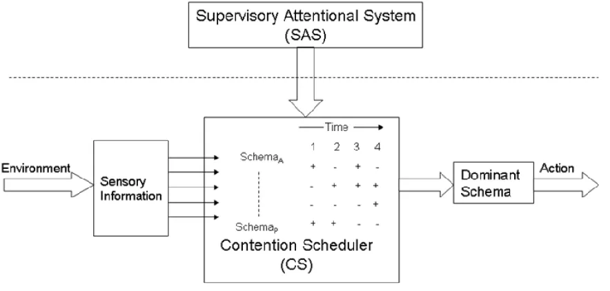 Figure 2-3 Simplified schematic representation of Norman and Shallice's model on willed and automatic control of behavior [16]