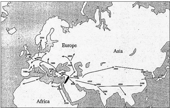Figure 1.1. The routes of expansion of wheat across Eurasia and Africa. The date of the earliest  wheat cultivation in different sites is indicated by years BP (Before Present- Present being 1950)  (Taken from Bonjean and Angus, 2011) 