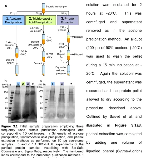 Figure 3.1 Initial sample preparation employing threefrequently used protein purification techniques and