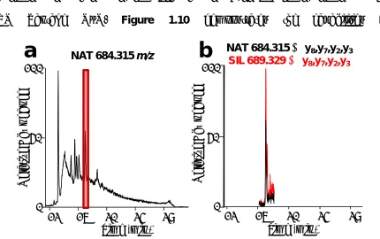 Figure 1.10 