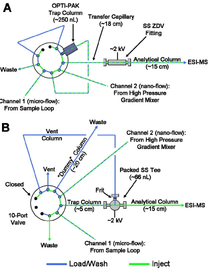 Figure 2.1 Schematics showing the valve configurations for (A) the discontinuous column configuration and (B) the continuous, vented column configuration
