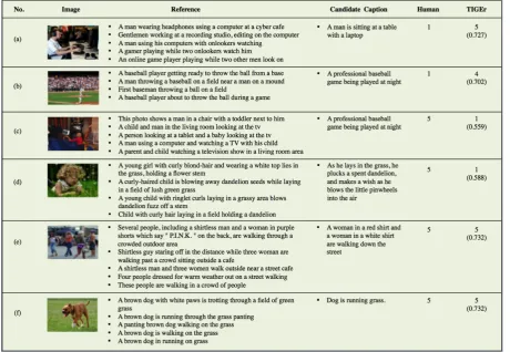Figure 8: Distribution of group score differences between TIGEr and human evaluation