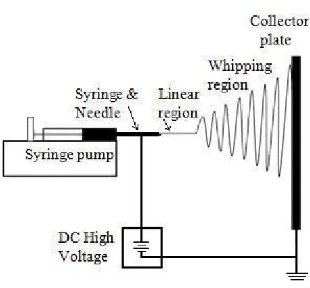 Figure 2.1 Schematic diagram of traditional needle electrospinning (TNE) 