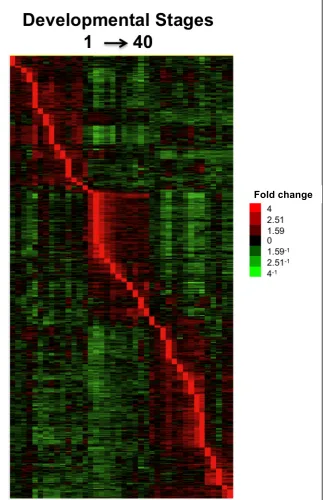 Figure 2.5. Timing of peak expression levels of significant genes (p < 0.01) during each stage of Fundulus heterclitusdevelopment
