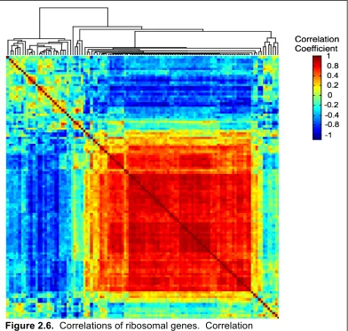 Figure 2.6.  Correlations of ribosomal genes.  Correlation  
