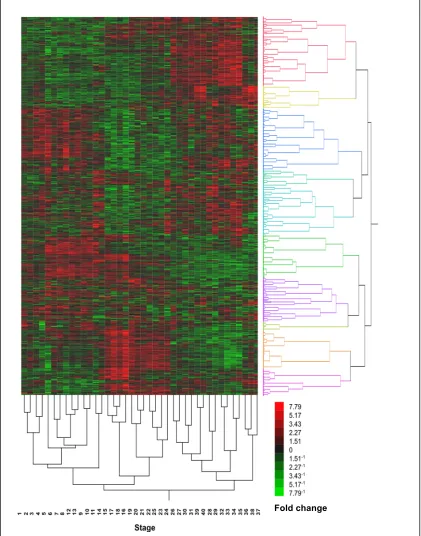Figure 2.3: Heat map and hierarchical clustering of Fundulus genes with pairwise differences (t-test, p<0.01) for all 40 developmental stages
