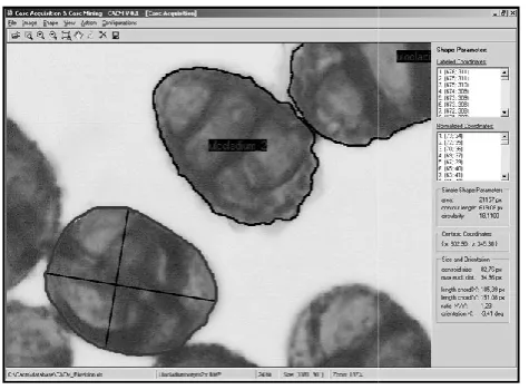 Fig 4 Labeled shape with coordinatesLabeled shape with coordinates 