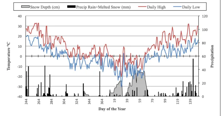 Figure 3.8. Temperature and precipitation at Sorenson Farm (2018-2019). 