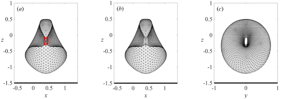 FIG. 6. Numerical transition from a singly-connected bubble to a toroidal bubble in the case when two cavitation 