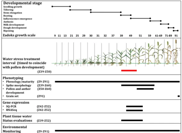 Figure	  1.3	  The	  experimental	  approach	  in	  this	  thesis	  is	  summarized.	  A	  key	  feature	  of	  the	   	  