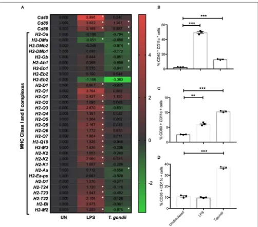 FIGURE 2 | T. gondii alters the cellular activation transcript and marker expression of BMDCs