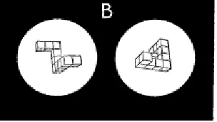 Figure 2.2: Example question from the Shepard and Metzler test25  