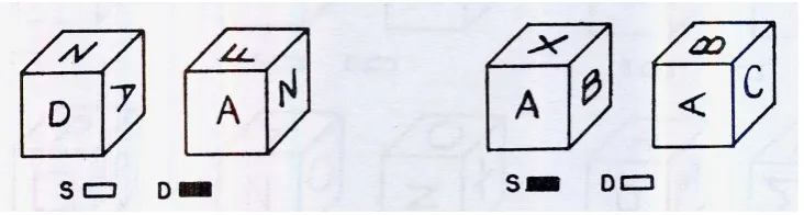 Figure 2.4: Example question from the Surface Development test 