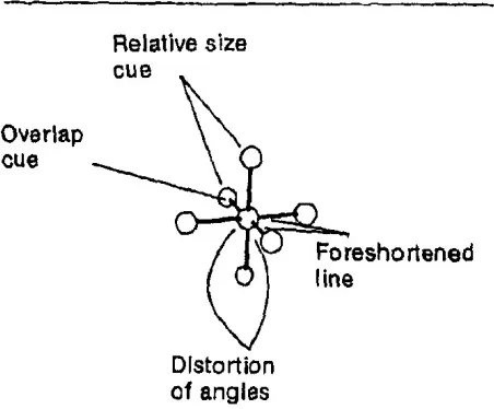 Figure 2.6: A diagram of the four depth cues in an octahedral molecule  