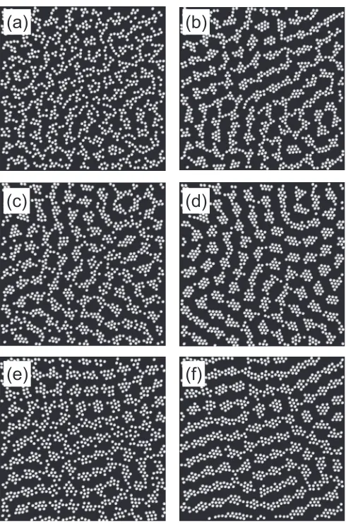 FIG. 3. (a) Pair correlation functionnsurfaceb ⩽ 1. Systems with ≳ 1 feature a strong peak at ( scaled by the�particle radius = g(r) (with r a) for example simulations at t = 106 time steps, with 0.35, EA = −7 and a range of δr values