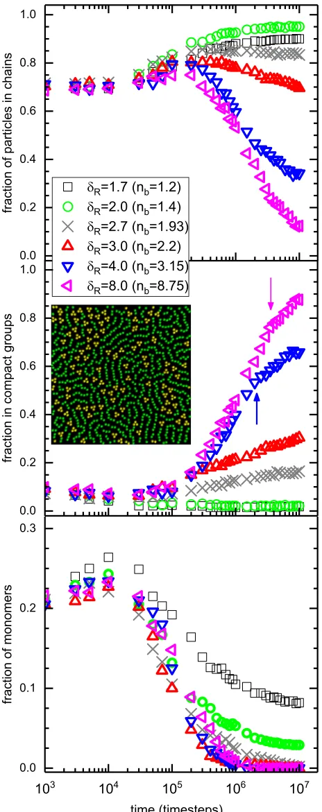 Fig. 9(a)voids, reaches its maximum value (Fig.F shows that the majority of particles exist in chains.Thermal conversion over time from chains to more stabletriplets and larger groups occurs at a rate that increases as nbincreases from nmax
