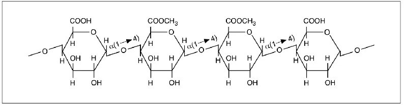 FIGURE 1: The Structure of Pectin (Ainsworth 1994) 