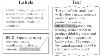 Figure 2: Example of the label description (left boxes)and classiﬁcation cues (shadowed texts)