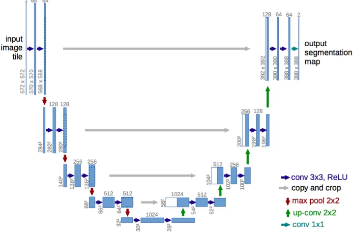 Figure 2.3: FCNN architecture with parallel convolutional pathways. [61]