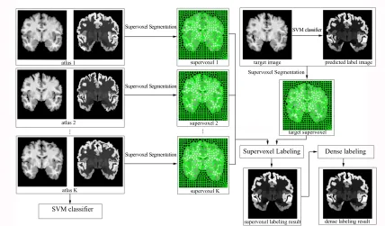 Figure 4.1: Framework overview of the proposed method. Supervoxel segmentationis performed on the target and the registered atlas images, respectively